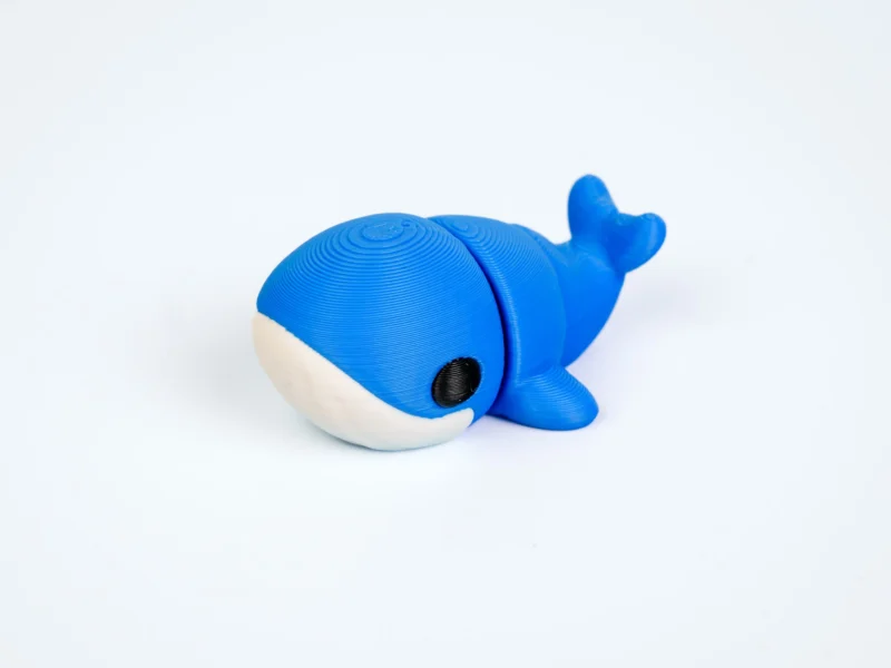 Mini articulated Blue Whale - front view