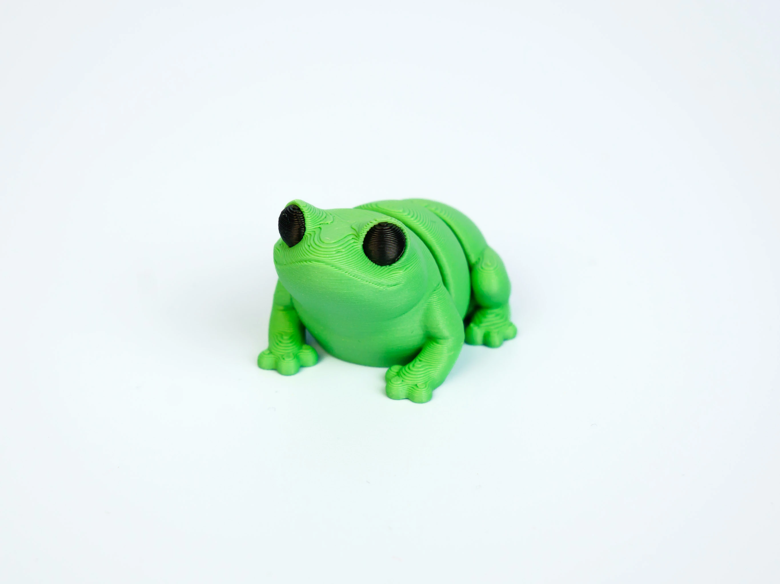 Mini articulated Frog - front view