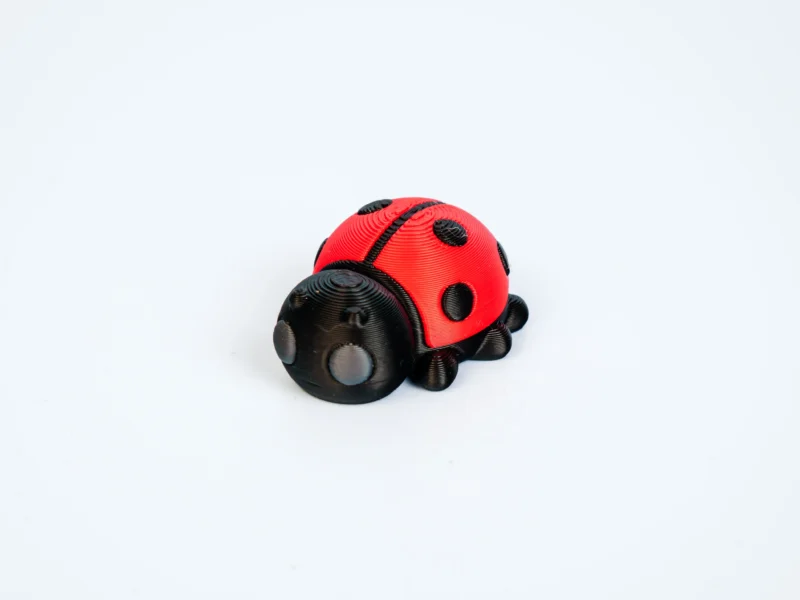 Mini articulated Ladybug - front view