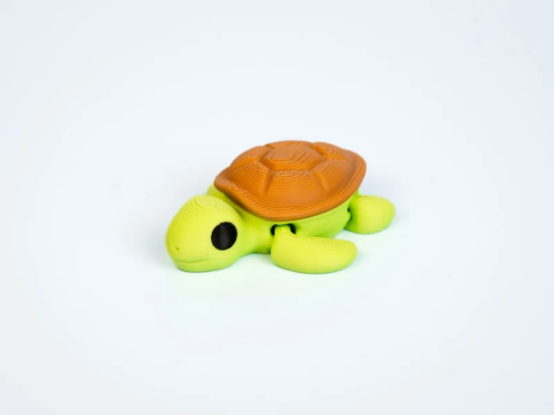 Mini articulated Turtle - front view