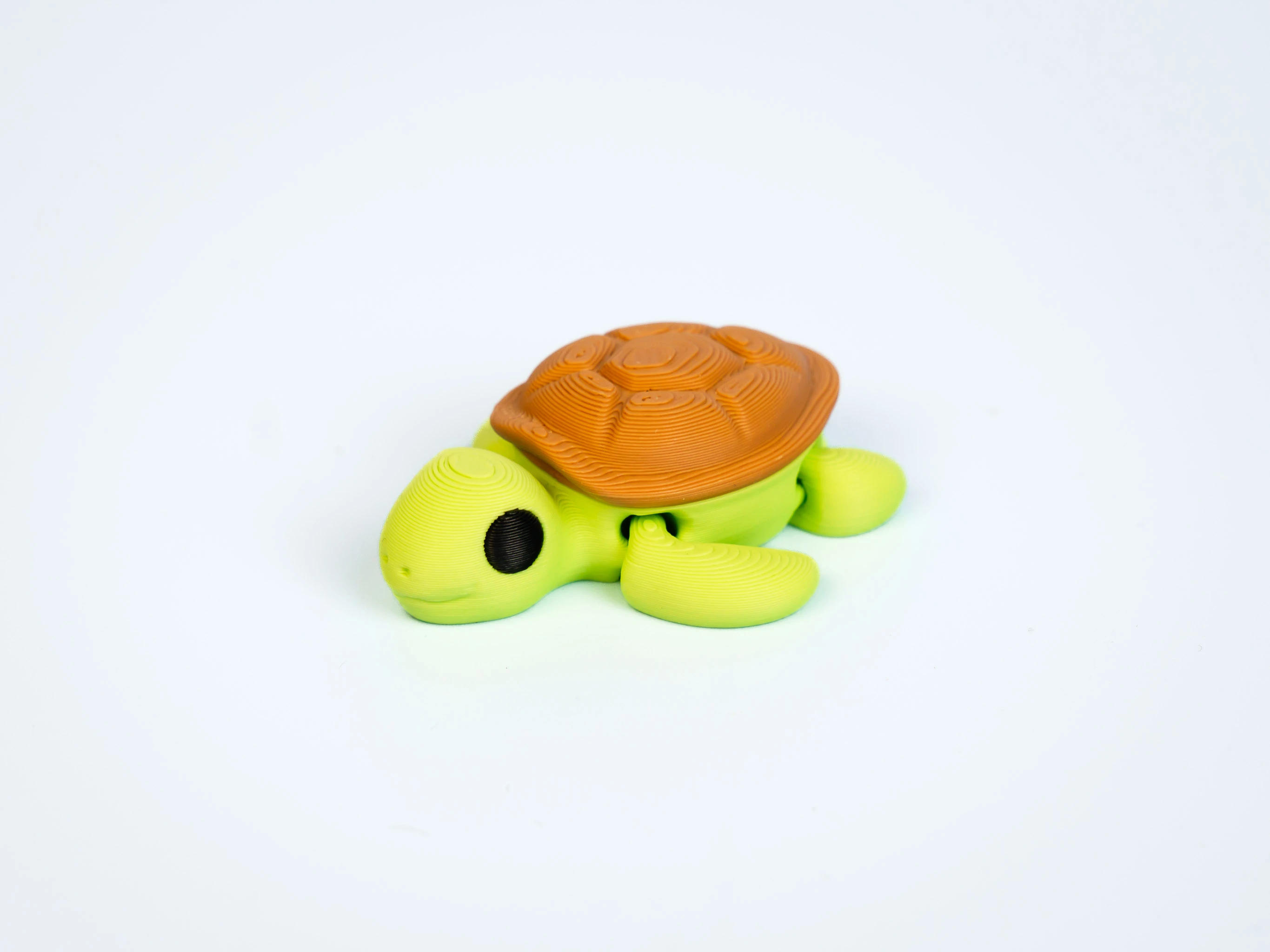 Mini articulated Turtle - front view